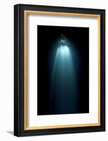 Light Entering Cenote Siete Bocas, Near Puerto Morelos, Riviera Maya, Yucatan Peninsula, Mexico-Claudio Contreras-Framed Photographic Print