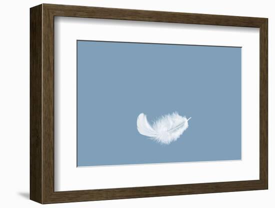 Light Fluffy a White Feather Floating in the Air with Copy Space. Feather Abstract Freedom Concept-1933bkk-Framed Photographic Print