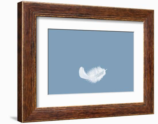 Light Fluffy a White Feather Floating in the Air with Copy Space. Feather Abstract Freedom Concept-1933bkk-Framed Photographic Print