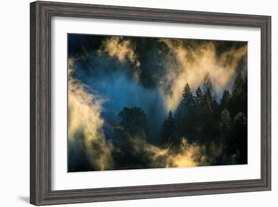 Light & Fog Abstract Mood Mount Hood Wilderness Sandy Oregon Pacific Northwest-Vincent James-Framed Photographic Print