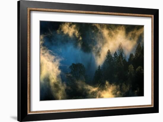 Light & Fog Abstract Mood Mount Hood Wilderness Sandy Oregon Pacific Northwest-Vincent James-Framed Photographic Print