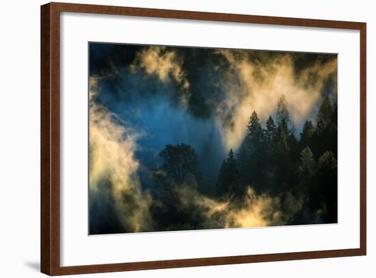 Light & Fog Warm Abstract Design Pacific Northwest Oregon-Vincent James-Framed Photographic Print