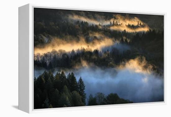 Light & Fog Wonderland Abstract Mount Hood Wilderness Sandy Oregon Pacific Northwest-Vincent James-Framed Premier Image Canvas