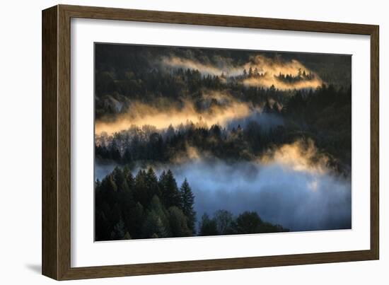 Light & Fog Wonderland Abstract Mount Hood Wilderness Sandy Oregon Pacific Northwest-Vincent James-Framed Premium Photographic Print