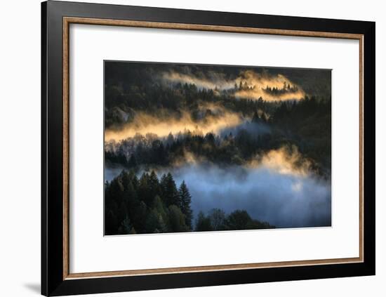 Light & Fog Wonderland Abstract Mount Hood Wilderness Sandy Oregon Pacific Northwest-Vincent James-Framed Premium Photographic Print