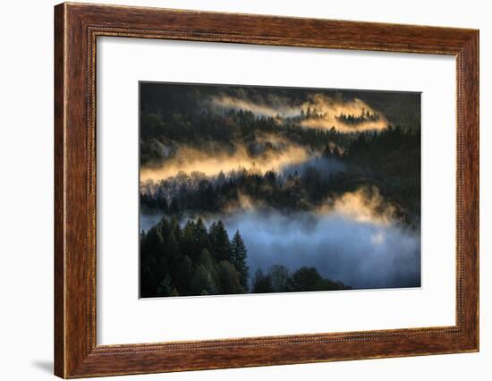 Light & Fog Wonderland Abstract Mount Hood Wilderness Sandy Oregon Pacific Northwest-Vincent James-Framed Premium Photographic Print