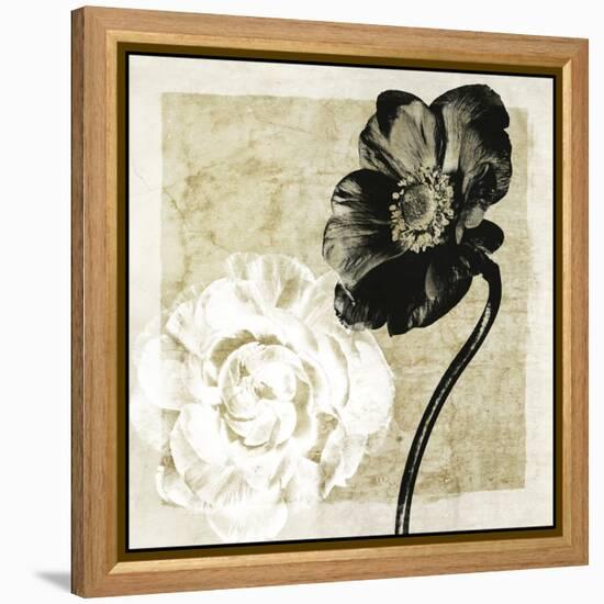 Light From Darkness I-Christine Zalewski-Framed Stretched Canvas