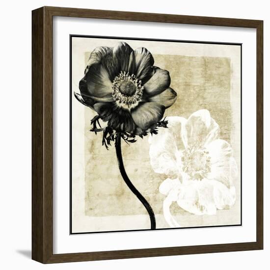 Light From Darkness II-Christine Zalewski-Framed Art Print