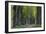 Light Green Forest Road-István Nagy-Framed Photographic Print