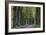 Light Green Forest Road-István Nagy-Framed Photographic Print