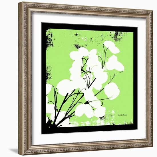 Light Green Money Plant-Herb Dickinson-Framed Photographic Print