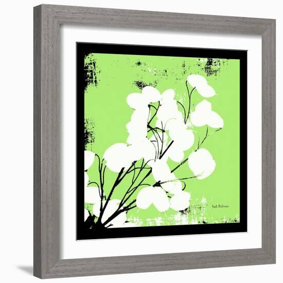 Light Green Money Plant-Herb Dickinson-Framed Photographic Print