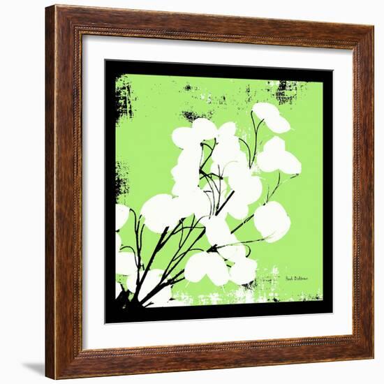 Light Green Money Plant-Herb Dickinson-Framed Photographic Print