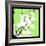 Light Green Money Plant-Herb Dickinson-Framed Photographic Print