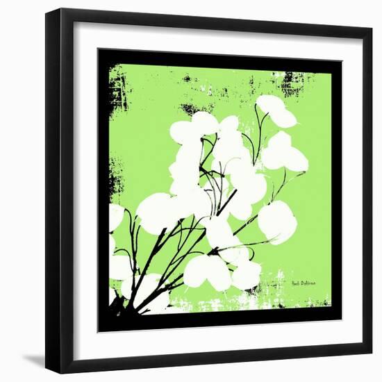 Light Green Money Plant-Herb Dickinson-Framed Photographic Print