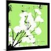 Light Green Money Plant-Herb Dickinson-Mounted Photographic Print