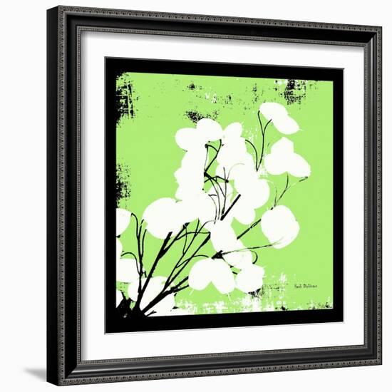 Light Green Money Plant-Herb Dickinson-Framed Photographic Print