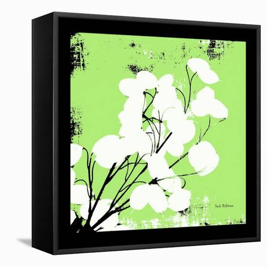 Light Green Money Plant-Herb Dickinson-Framed Premier Image Canvas