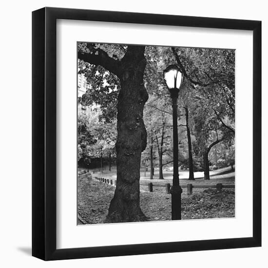 Light in Central Park-Erin Clark-Framed Giclee Print
