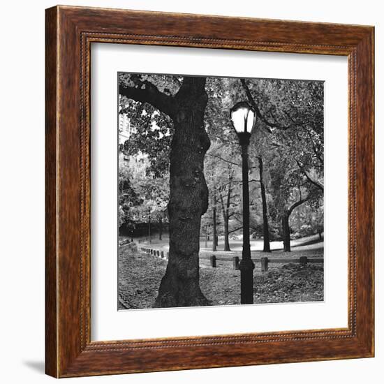 Light in Central Park-Erin Clark-Framed Giclee Print