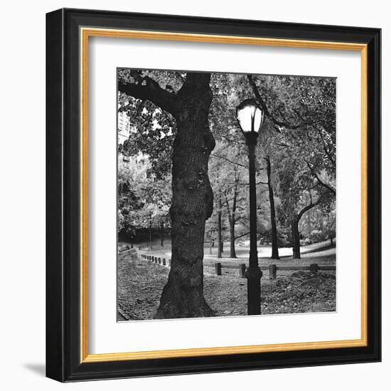 Light in Central Park-Erin Clark-Framed Giclee Print