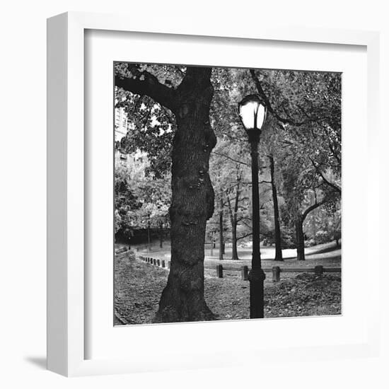 Light in Central Park-Erin Clark-Framed Giclee Print