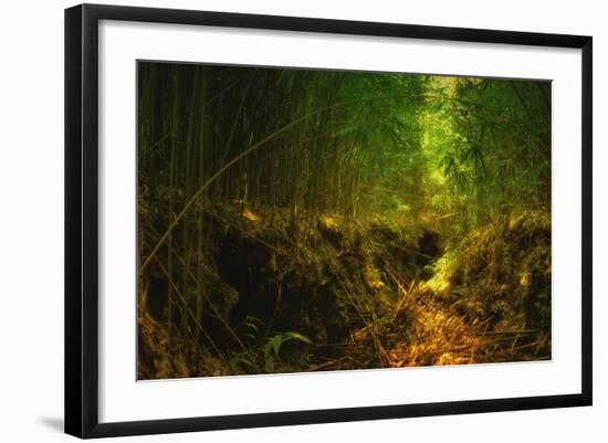 Light in the Bamboo Forest, Maui-Vincent James-Framed Photographic Print