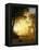 Light in the Forest-Albert Bierstadt-Framed Premier Image Canvas