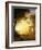 Light in the Forest-Albert Bierstadt-Framed Giclee Print