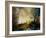 Light in the Forest-Pol Ledent-Framed Art Print