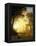 Light in the Forest-Albert Bierstadt-Framed Premier Image Canvas
