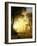 Light in the Forest-Albert Bierstadt-Framed Giclee Print