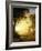 Light in the Forest-Albert Bierstadt-Framed Giclee Print