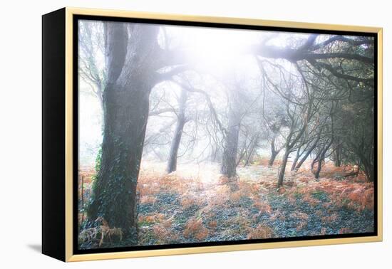 Light Is Coming-Viviane Fedieu Daniel-Framed Premier Image Canvas