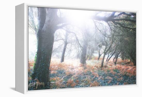 Light Is Coming-Viviane Fedieu Daniel-Framed Premier Image Canvas