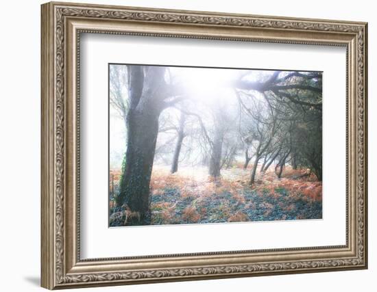 Light Is Coming-Viviane Fedieu Daniel-Framed Photographic Print