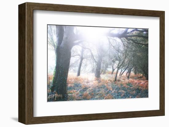 Light Is Coming-Viviane Fedieu Daniel-Framed Photographic Print