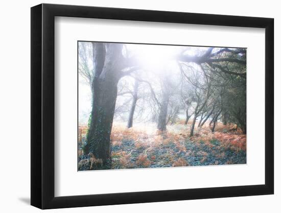 Light Is Coming-Viviane Fedieu Daniel-Framed Photographic Print