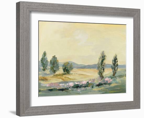 Light Landscape-Silvia Vassileva-Framed Art Print