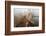 Light ll-Heidi Westum-Framed Photographic Print