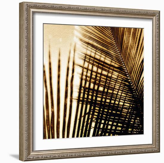 Light on Palms I-Malcolm Sanders-Framed Giclee Print