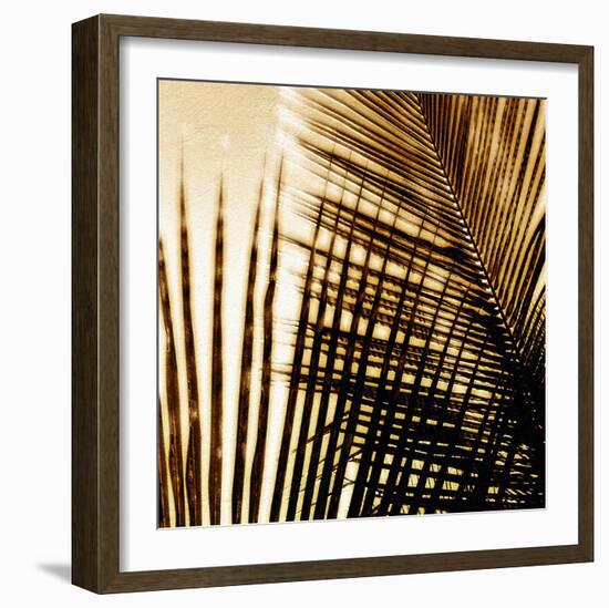 Light on Palms I-Malcolm Sanders-Framed Giclee Print