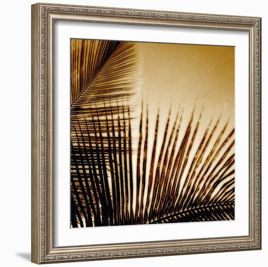 Light on Palms III-Malcolm Sanders-Framed Giclee Print