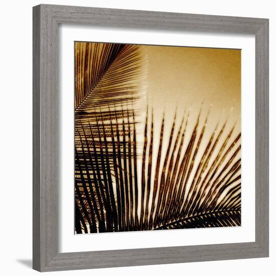 Light on Palms III-Malcolm Sanders-Framed Giclee Print