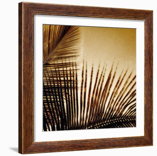 Light on Palms III-Malcolm Sanders-Framed Giclee Print