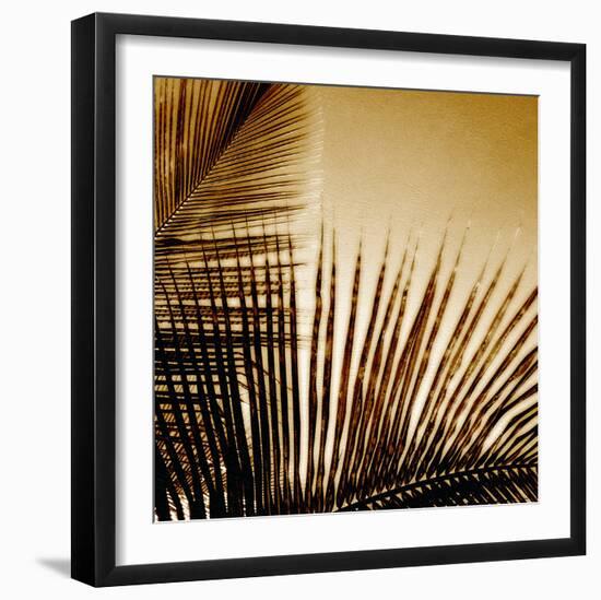 Light on Palms III-Malcolm Sanders-Framed Giclee Print