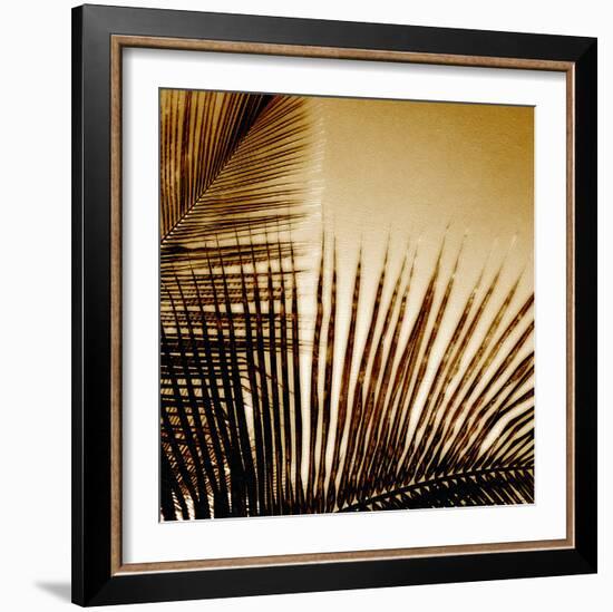 Light on Palms III-Malcolm Sanders-Framed Giclee Print