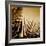 Light on Palms III-Malcolm Sanders-Framed Giclee Print