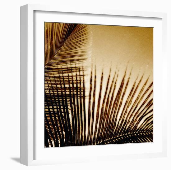 Light on Palms III-Malcolm Sanders-Framed Giclee Print