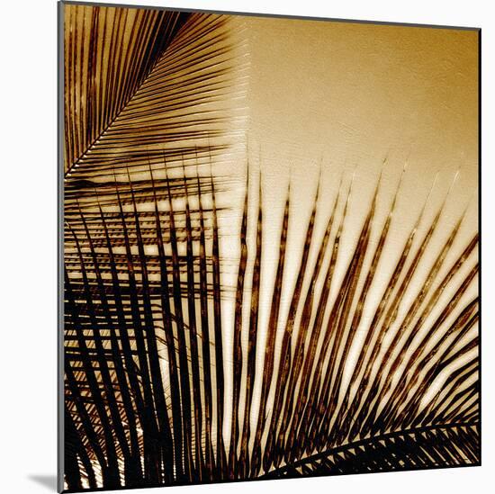 Light on Palms III-Malcolm Sanders-Mounted Giclee Print